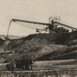 ...t�ba hn�d�ho uhl� v chomutovsk�m okrese...zdroj �asopis Kv�ty 8/1984