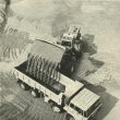 ...�t�rk pro stavba�e - tak byl nazv�n tento sn�mek drtikola na v�stav� novin��sk� fotografie �ivot kolem n�s...zdroj �asopis Kv�ty 17/1980
