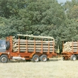 ...prospekt A4 oboustrann� v �e�tin�