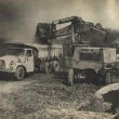 ...sn�mek z fotosout�e Kamerou 80...pro tatrov�ky jist� v�t�zn�...zdroj �asopis Kv�ty 43/1980