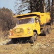 ...zde je�t� jeden z�b�r...zdroj publikace Tradice/Pokrok/Prosperita 1990
