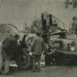 ...souboj trkav�ch dinosaur�...zdroj �asopis Kv�ty 20/1978